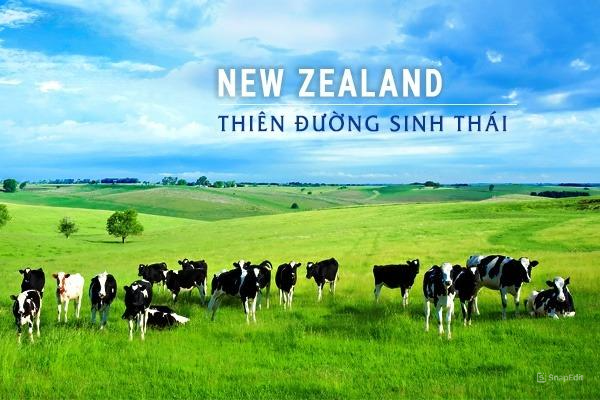 thuc-pham-bo-sung-new-zealand